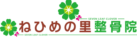ねひめの里整骨院